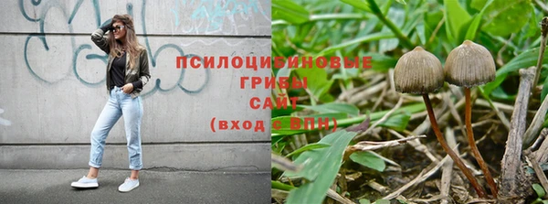 дживик Абинск