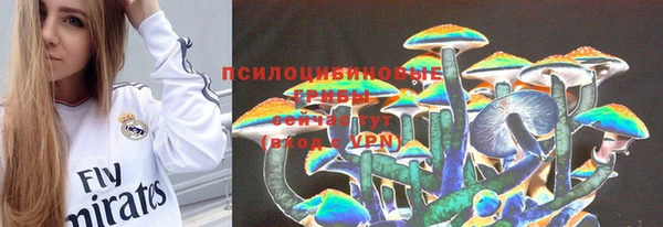 дживик Абинск