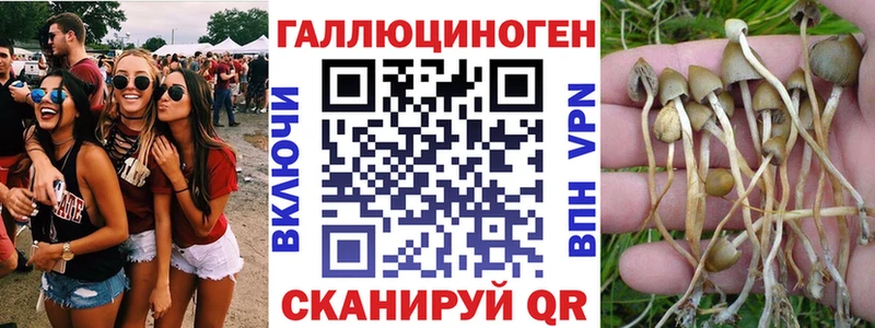 Псилоцибиновые грибы Cubensis  mega вход  Алейск 